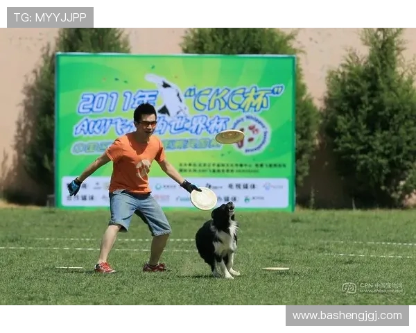 重庆飞盘队与北京飞盘队赛后心理素质深度分析与反思