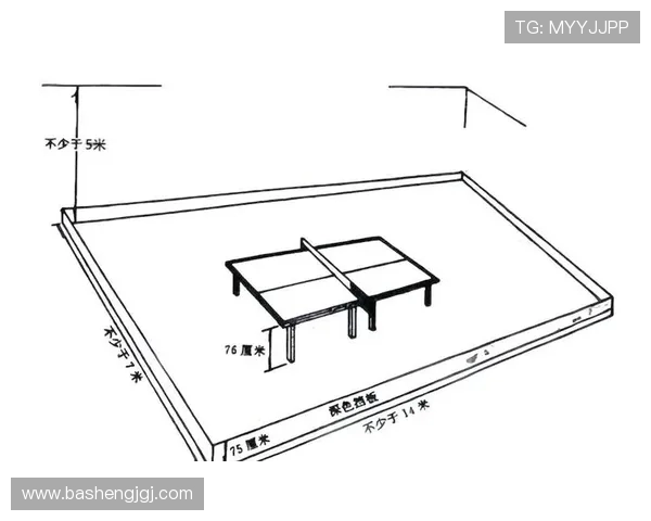 乒乓球运动的魅力与技巧：从基础规则到竞技策略的全面探索
